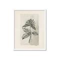 Picture of Vintage Flower II _GroupedProduct_Rectangle_Portrait_Framed_Matted_