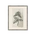 Picture of Vintage Flower II _GroupedProduct_Rectangle_Portrait_Framed_Matted_