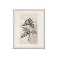 Picture of Vintage Flower II _GroupedProduct_Rectangle_Portrait_Framed_Matted_