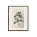 Picture of Vintage Flower II _GroupedProduct_Rectangle_Portrait_Framed_Matted_