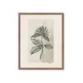 Picture of Vintage Flower II _GroupedProduct_Rectangle_Portrait_Framed_Matted_