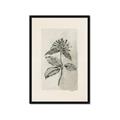 Picture of Vintage Flower II _GroupedProduct_Rectangle_Portrait_Framed_Matted_