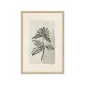 Picture of Vintage Flower II _GroupedProduct_Rectangle_Portrait_Framed_Matted_
