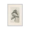 Picture of Vintage Flower II _GroupedProduct_Rectangle_Portrait_Framed_Matted_