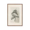Picture of Vintage Flower II _GroupedProduct_Rectangle_Portrait_Framed_Matted_