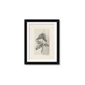 Picture of Vintage Flower II _GroupedProduct_Rectangle_Portrait_Framed_Matted_