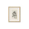 Picture of Vintage Flower II _GroupedProduct_Rectangle_Portrait_Framed_Matted_