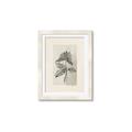 Picture of Vintage Flower II _GroupedProduct_Rectangle_Portrait_Framed_Matted_