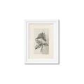 Picture of Vintage Flower II _GroupedProduct_Rectangle_Portrait_Framed_Matted_