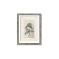 Picture of Vintage Flower II _GroupedProduct_Rectangle_Portrait_Framed_Matted_
