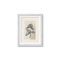 Picture of Vintage Flower II _GroupedProduct_Rectangle_Portrait_Framed_Matted_
