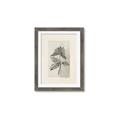 Picture of Vintage Flower II _GroupedProduct_Rectangle_Portrait_Framed_Matted_