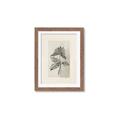 Picture of Vintage Flower II _GroupedProduct_Rectangle_Portrait_Framed_Matted_