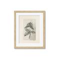 Picture of Vintage Flower II _GroupedProduct_Rectangle_Portrait_Framed_Matted_