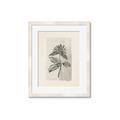 Picture of Vintage Flower II _GroupedProduct_Rectangle_Portrait_Framed_Matted_