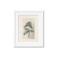 Picture of Vintage Flower II _GroupedProduct_Rectangle_Portrait_Framed_Matted_