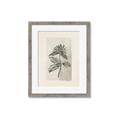 Picture of Vintage Flower II _GroupedProduct_Rectangle_Portrait_Framed_Matted_