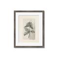 Picture of Vintage Flower II _GroupedProduct_Rectangle_Portrait_Framed_Matted_