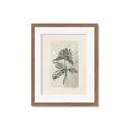 Picture of Vintage Flower II _GroupedProduct_Rectangle_Portrait_Framed_Matted_