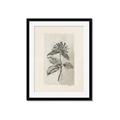 Picture of Vintage Flower II _GroupedProduct_Rectangle_Portrait_Framed_Matted_