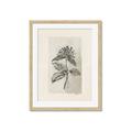Picture of Vintage Flower II _GroupedProduct_Rectangle_Portrait_Framed_Matted_