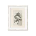 Picture of Vintage Flower II _GroupedProduct_Rectangle_Portrait_Framed_Matted_