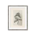 Picture of Vintage Flower II _GroupedProduct_Rectangle_Portrait_Framed_Matted_