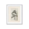 Picture of Vintage Flower II _GroupedProduct_Rectangle_Portrait_Framed_Matted_