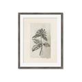 Picture of Vintage Flower II _GroupedProduct_Rectangle_Portrait_Framed_Matted_