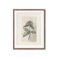 Picture of Vintage Flower II _GroupedProduct_Rectangle_Portrait_Framed_Matted_