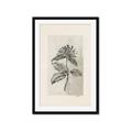 Picture of Vintage Flower II _GroupedProduct_Rectangle_Portrait_Framed_Matted_