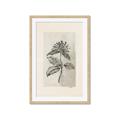 Picture of Vintage Flower II _GroupedProduct_Rectangle_Portrait_Framed_Matted_