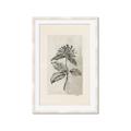 Picture of Vintage Flower II _GroupedProduct_Rectangle_Portrait_Framed_Matted_