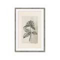 Picture of Vintage Flower II _GroupedProduct_Rectangle_Portrait_Framed_Matted_