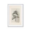 Picture of Vintage Flower II _GroupedProduct_Rectangle_Portrait_Framed_Matted_