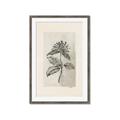 Picture of Vintage Flower II _GroupedProduct_Rectangle_Portrait_Framed_Matted_
