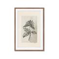 Picture of Vintage Flower II _GroupedProduct_Rectangle_Portrait_Framed_Matted_