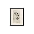 Picture of Vintage Flower IV _GroupedProduct_Rectangle_Portrait_Framed_Matted_