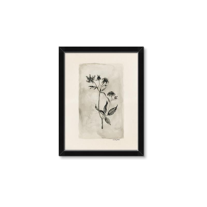 Picture of Vintage Flower IV _GroupedProduct_Rectangle_Portrait_Framed_Matted_