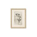 Picture of Vintage Flower IV _GroupedProduct_Rectangle_Portrait_Framed_Matted_