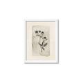 Picture of Vintage Flower IV _GroupedProduct_Rectangle_Portrait_Framed_Matted_