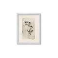 Picture of Vintage Flower IV _GroupedProduct_Rectangle_Portrait_Framed_Matted_