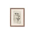 Picture of Vintage Flower IV _GroupedProduct_Rectangle_Portrait_Framed_Matted_