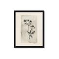 Picture of Vintage Flower IV _GroupedProduct_Rectangle_Portrait_Framed_Matted_