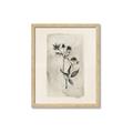 Picture of Vintage Flower IV _GroupedProduct_Rectangle_Portrait_Framed_Matted_