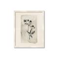 Picture of Vintage Flower IV _GroupedProduct_Rectangle_Portrait_Framed_Matted_