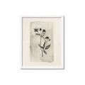 Picture of Vintage Flower IV _GroupedProduct_Rectangle_Portrait_Framed_Matted_