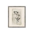 Picture of Vintage Flower IV _GroupedProduct_Rectangle_Portrait_Framed_Matted_
