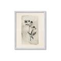Picture of Vintage Flower IV _GroupedProduct_Rectangle_Portrait_Framed_Matted_