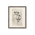 Picture of Vintage Flower IV _GroupedProduct_Rectangle_Portrait_Framed_Matted_